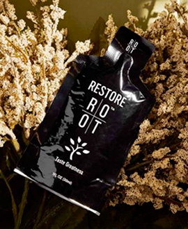 restore 1